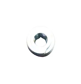 Pedicle Screw Caps MAS20T