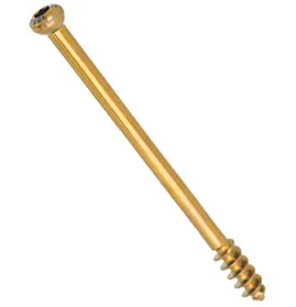 Cancellous Screw 6.5 mm (16mm Thread)